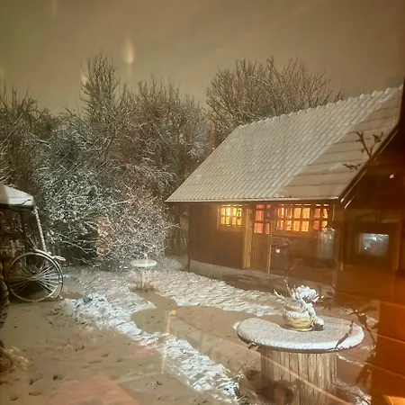 Brvnare Mrkic ロッジ *