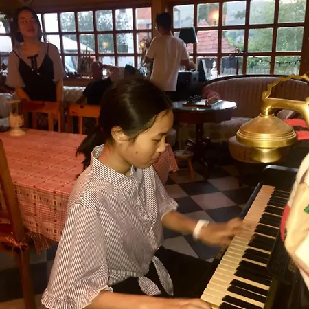 Domek letniskowy Brvnare Mrkic