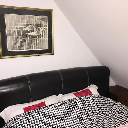 Brvnare Mrkic Lodge