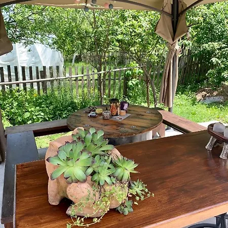 Brvnare Mrkic ロッジ *